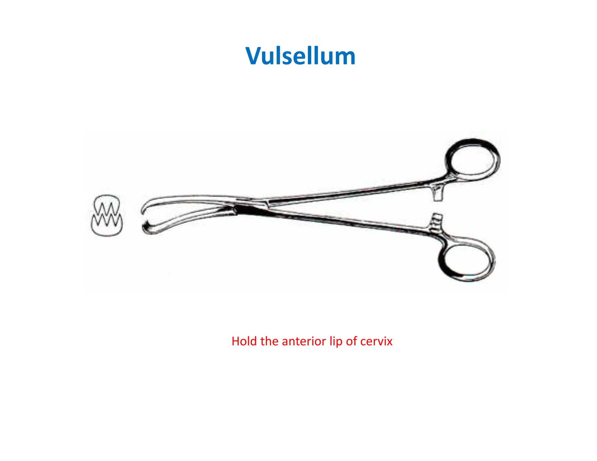 Vulsellum
Hold the anterior lip of cervix
 