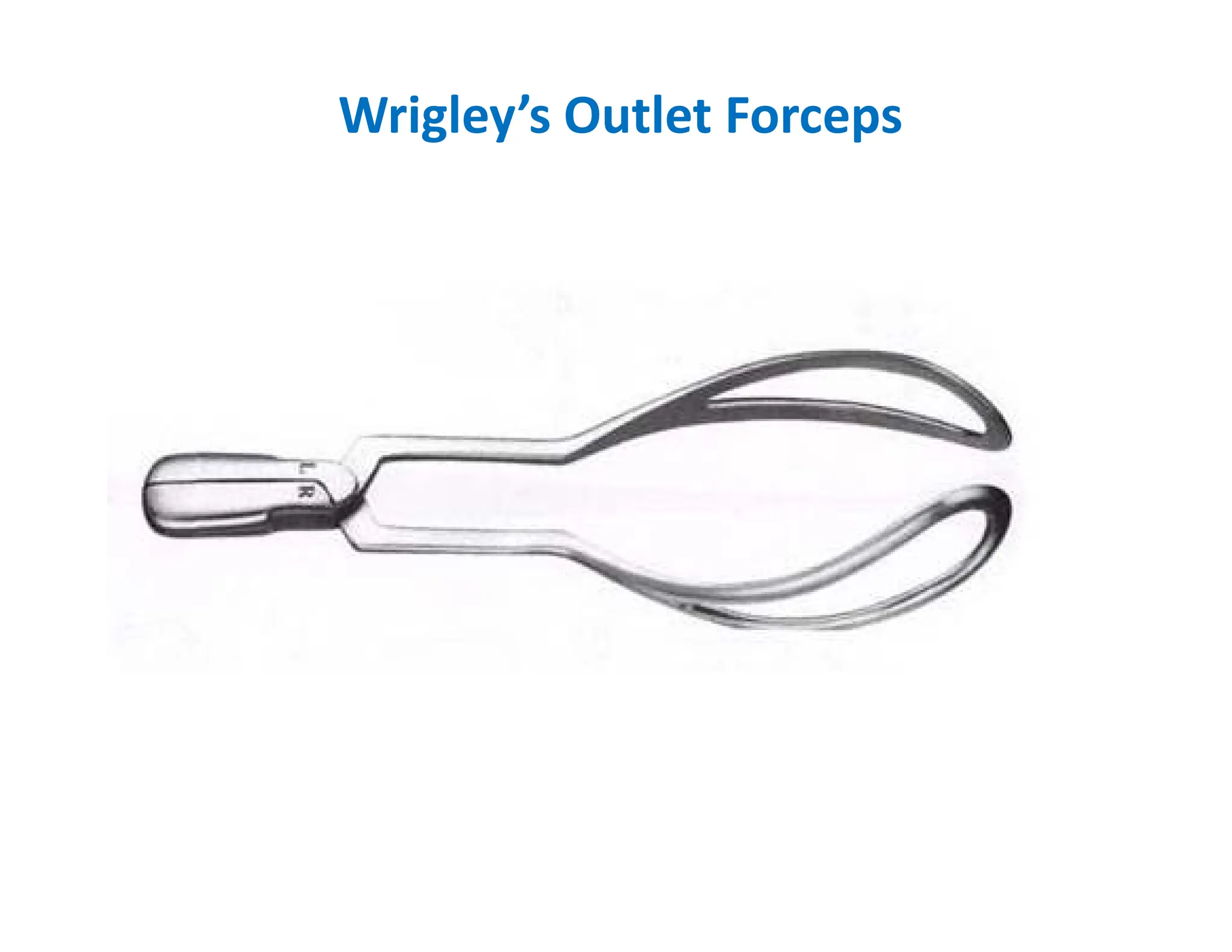 Wrigley’s Outlet Forceps
 
