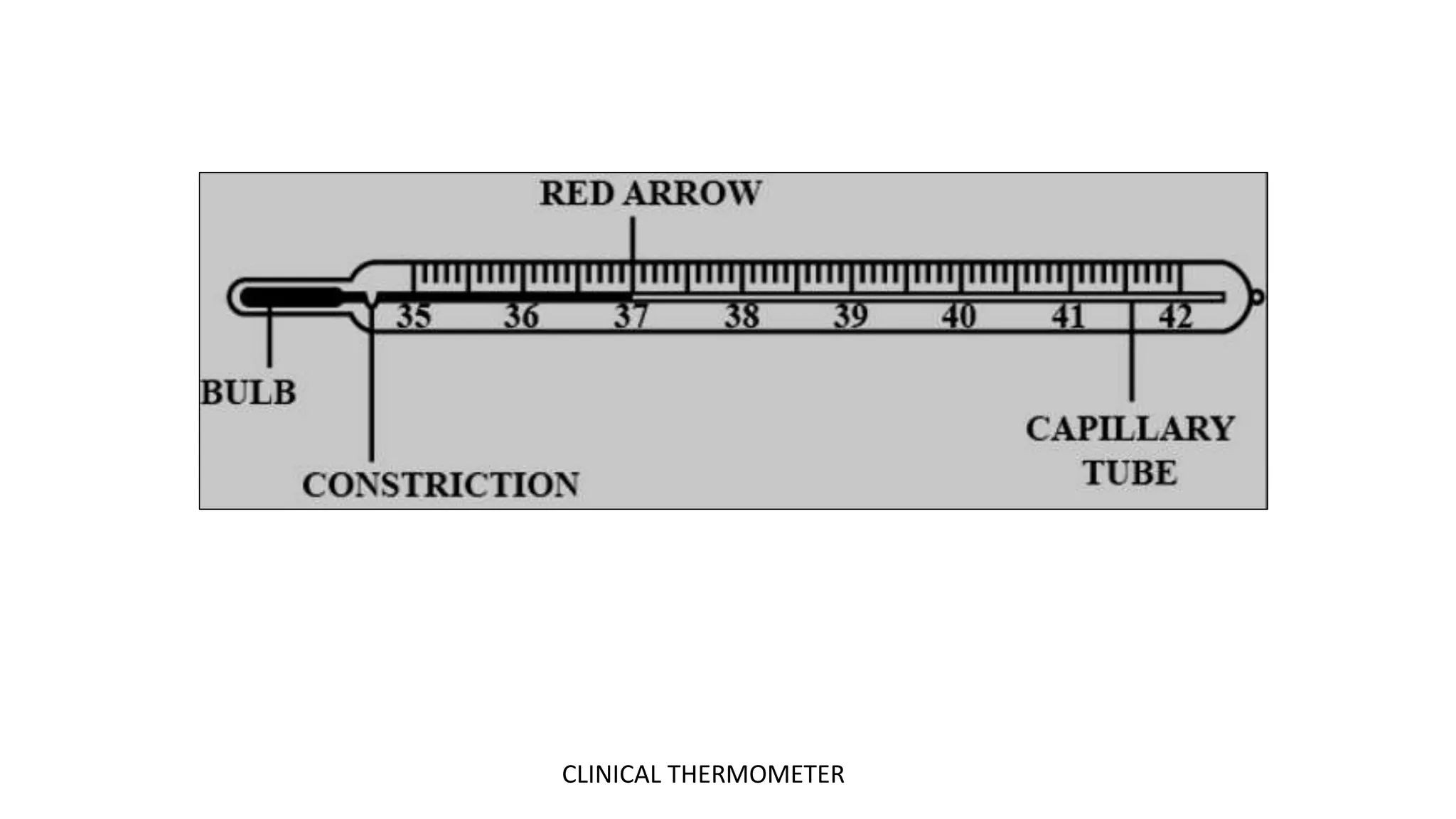 CLINICAL THERMOMETER