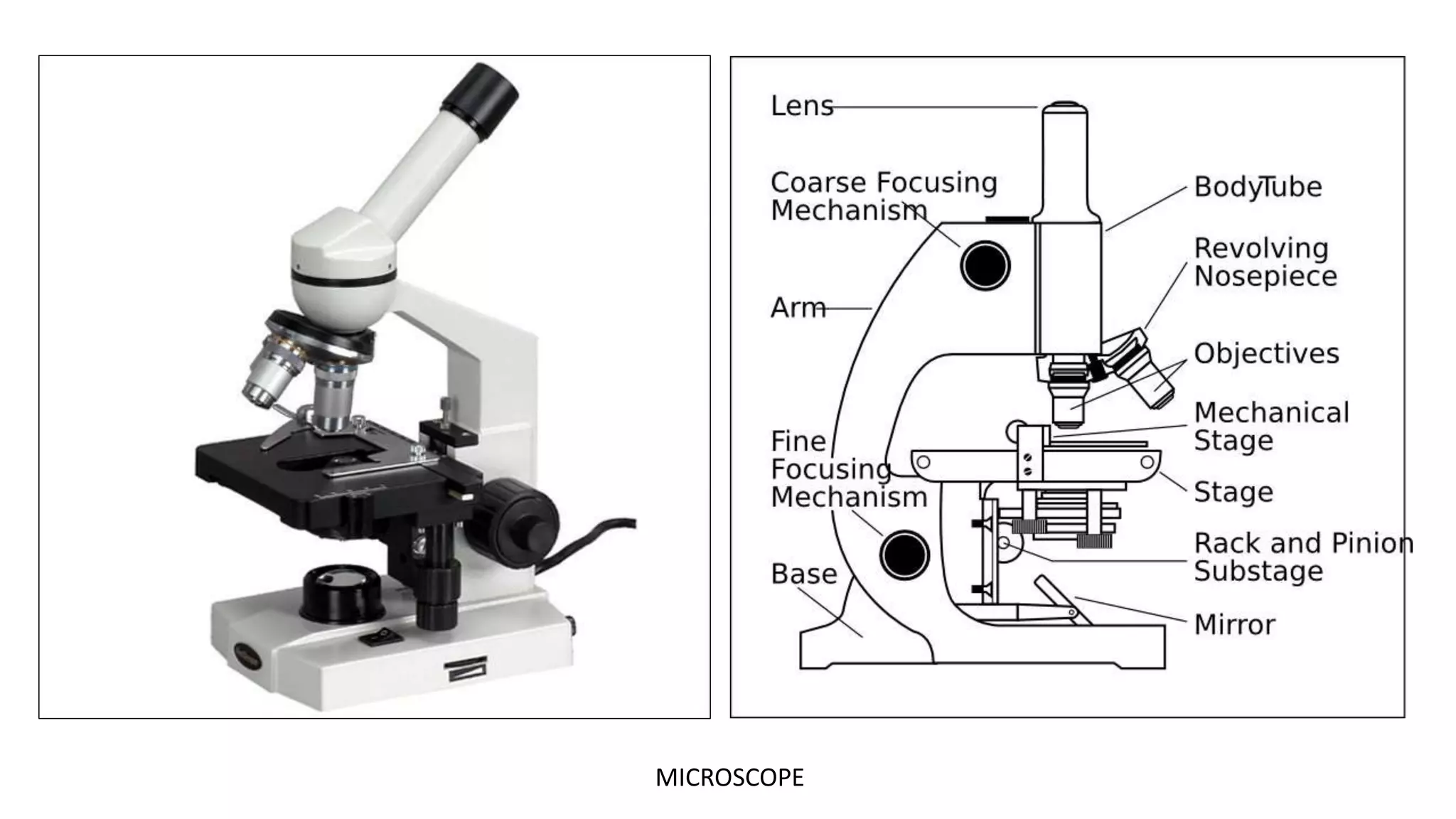 MICROSCOPE