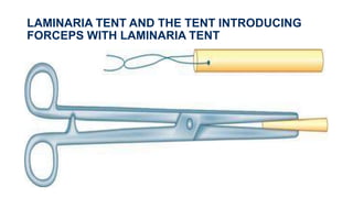 LAMINARIA TENT AND THE TENT INTRODUCING
FORCEPS WITH LAMINARIA TENT
 
