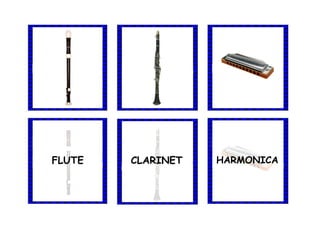 FLUTE CLARINET HARMONICA