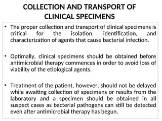 COLLECTION AND TRANSPORT OF
CLINICAL SPECIMENS
• The proper collection and transport of clinical specimens is
critical for the isolation, identification, and
characterization of agents that cause bacterial infection.
• Optimally, clinical specimens should be obtained before
antimicrobial therapy commences in order to avoid loss of
viability of the etiological agents.
• Treatment of the patient, however, should not be delayed
while awaiting collection of specimens or results from the
laboratory and a specimen should be obtained in all
suspect cases as bacterial pathogens can still be detected
even after antimicrobial therapy has begun.
 