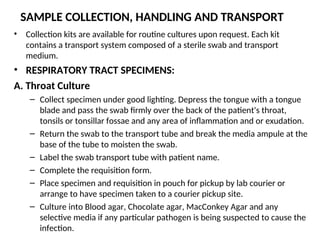 SAMPLE COLLECTION, HANDLING AND TRANSPORT
• Collection kits are available for routine cultures upon request. Each kit
contains a transport system composed of a sterile swab and transport
medium.
• RESPIRATORY TRACT SPECIMENS:
A. Throat Culture
– Collect specimen under good lighting. Depress the tongue with a tongue
blade and pass the swab firmly over the back of the patient's throat,
tonsils or tonsillar fossae and any area of inflammation and or exudation.
– Return the swab to the transport tube and break the media ampule at the
base of the tube to moisten the swab.
– Label the swab transport tube with patient name.
– Complete the requisition form.
– Place specimen and requisition in pouch for pickup by lab courier or
arrange to have specimen taken to a courier pickup site.
– Culture into Blood agar, Chocolate agar, MacConkey Agar and any
selective media if any particular pathogen is being suspected to cause the
infection.
 