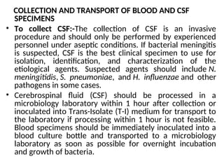 COLLECTION AND TRANSPORT OF BLOOD AND CSF
SPECIMENS
• To collect CSF:-The collection of CSF is an invasive
procedure and should only be performed by experienced
personnel under aseptic conditions. If bacterial meningitis
is suspected, CSF is the best clinical specimen to use for
isolation, identification, and characterization of the
etiological agents. Suspected agents should include N.
meningitidis, S. pneumoniae, and H. influenzae and other
pathogens in some cases.
• Cerebrospinal fluid (CSF) should be processed in a
microbiology laboratory within 1 hour after collection or
inoculated into Trans-Isolate (T-I) medium for transport to
the laboratory if processing within 1 hour is not feasible.
Blood specimens should be immediately inoculated into a
blood culture bottle and transported to a microbiology
laboratory as soon as possible for overnight incubation
and growth of bacteria.
 