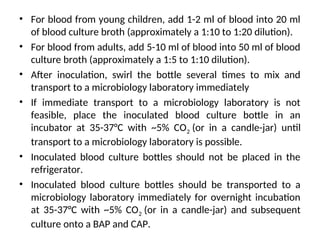 • For blood from young children, add 1-2 ml of blood into 20 ml
of blood culture broth (approximately a 1:10 to 1:20 dilution).
• For blood from adults, add 5-10 ml of blood into 50 ml of blood
culture broth (approximately a 1:5 to 1:10 dilution).
• After inoculation, swirl the bottle several times to mix and
transport to a microbiology laboratory immediately
• If immediate transport to a microbiology laboratory is not
feasible, place the inoculated blood culture bottle in an
incubator at 35-37°C with ~5% CO2 (or in a candle-jar) until
transport to a microbiology laboratory is possible.
• Inoculated blood culture bottles should not be placed in the
refrigerator.
• Inoculated blood culture bottles should be transported to a
microbiology laboratory immediately for overnight incubation
at 35-37°C with ~5% CO2 (or in a candle-jar) and subsequent
culture onto a BAP and CAP.
 