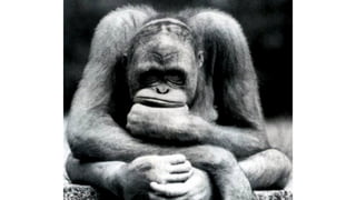 Начальная идея
29
Имея ссылку на объект уметь
определять местоположение
фрагмента кода его декларации
 