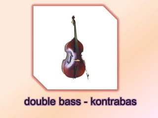 double bass - kontrabas
 