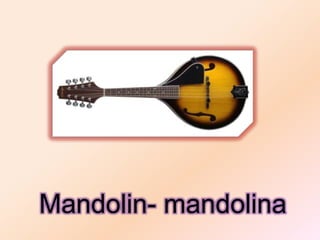 Mandolin- mandolina
 