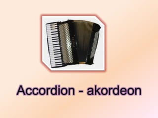 Accordion - akordeon
 