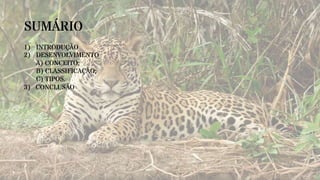 SUMÁRIO
1) INTRODUÇÃO
2) DESENVOLVIMENTO
A) CONCEITO;
B) CLASSIFICAÇÃO;
C) TIPOS.
3) CONCLUSÃO
 