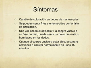 Síntomas
Cambio de coloración en dedos de manosy pies
Se pueden sentir fríos y entumecidos por la falta
de circulación.
Una vez acaba el episodio y la sangre vuelve a
su flujo normal, puede sentir un dolor pulsante u
hormigueo en los dedos.
Cuando el cuerpo vuelve a estar tibio, la sangre
comienza a circular normalmente en unos 15
minutos.
 