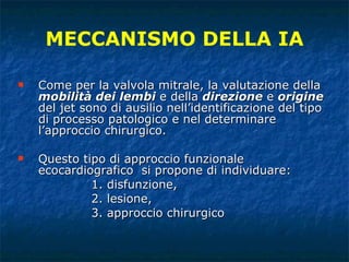 Come per la valvola mitrale, la valutazione della  mobilità dei lembi  e della  direzione  e  origine  del jet sono di ausilio nell’identificazione del tipo di processo patologico e nel determinare l’approccio chirurgico.  Questo tipo di approccio funzionale ecocardiografico  si propone di individuare:  1. disfunzione,  2. lesione,  3. approccio chirurgico MECCANISMO DELLA IA 