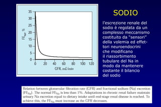 SODIO
l’escrezione renale del
sodio è regolata da un
complesso meccanismo
costituito da “sensori”
della volemia ed effet-
tori neuroendocrini
che modificano
il riassorbimento
tubulare del Na in
modo da mantenere
costante il bilancio
del sodio
 