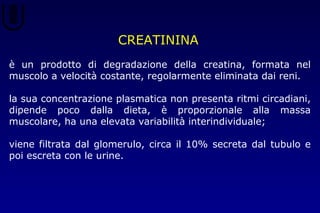 CREATININA
è un prodotto di degradazione della creatina, formata nel
muscolo a velocità costante, regolarmente eliminata dai reni.
la sua concentrazione plasmatica non presenta ritmi circadiani,
dipende poco dalla dieta, è proporzionale alla massa
muscolare, ha una elevata variabilità interindividuale;
viene filtrata dal glomerulo, circa il 10% secreta dal tubulo e
poi escreta con le urine.
 