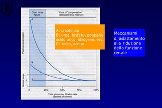 Meccanismi
di adattamento
alla riduzione
della funzione
renale
A: creatinina
B: urea, fosfato, potassio,
acido urico, idrogeno, ecc.
C: sodio, acqua
 