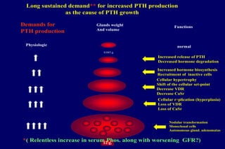 Long sustained demand** for increased PTH production
as the cause of PTH growth
Demands for
PTH production
Glands weight
And volume
Functions
Physiologic normal
0.045 g.
Increased release of PTH
Decreased hormone degradation
Increased hormone biosynthesis
Recruitment of inactive cells
Cellular hypertrophy
Shift of the cellular set-point
Decrease VDR
Decrease CaSr
Cellular replication (hyperplasia)
Loss of VDR
Loss of CaSr
Nodular transformation
Monoclonal cells
Autonomous gland. adenomatas
12 g.
*( Relentless increase in serum Phos. along with worsening GFR?)
 