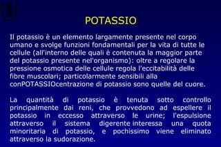 Il potassio è un elemento largamente presente nel corpo
umano e svolge funzioni fondamentali per la vita di tutte le
cellule (all'interno delle quali è contenuta la maggior parte
del potassio presente nel'organismo): oltre a regolare la
pressione osmotica delle cellule regola l'eccitabilità delle
fibre muscolari; particolarmente sensibili alla
conPOTASSIOcentrazione di potassio sono quelle del cuore.
La quantità di potassio è tenuta sotto controllo
principalmente dai reni, che provvedono ad espellere il
potassio in eccesso attraverso le urine; l'espulsione
attraverso il sistema digerente interessa una quota
minoritaria di potassio, e pochissimo viene eliminato
attraverso la sudorazione.
POTASSIO
 