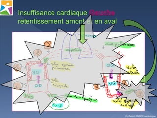 Dr Gabin LEGROS cardiologue
 