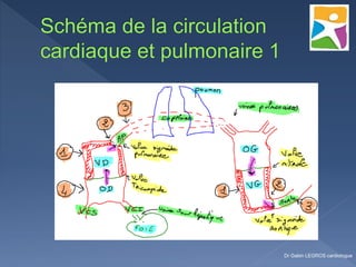 Dr Gabin LEGROS cardiologue
 