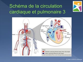 Dr Gabin LEGROS cardiologue
 