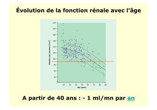 Évolution de la fonction rénale avec l’âge
A partir de 40 ans : - 1 ml/mn par an
 