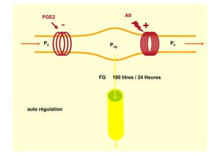 Pa PePcg
FG 180 litres / 24 Heures
AIIPGE2
auto régulation
- +
 