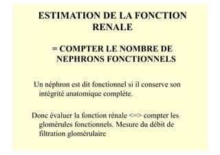 ESTIMATION DE LA FONCTION
RENALE
= COMPTER LE NOMBRE DE
NEPHRONS FONCTIONNELS
Un néphron est dit fonctionnel si il conserve son
intégrité anatomique complète.
Donc évaluer la fonction rénale <=> compter les
glomérules fonctionnels. Mesure du débit de
filtration glomérulaire
 