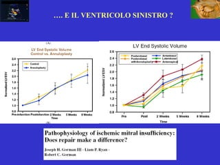 …. E IL VENTRICOLO SINISTRO ?
 