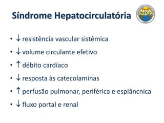 Síndrome Hepatocirculatória
•  resistência vascular sistêmica
•  volume circulante efetivo
•  débito cardíaco
•  resposta às catecolaminas
•  perfusão pulmonar, periférica e esplâncnica
•  fluxo portal e renal
 