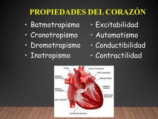 insuficidncia cardiaca sbr umf 223.pptx