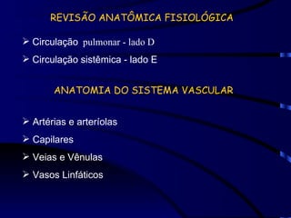 REVISÃO ANATÔMICA FISIOLÓGICA Circulação   pulmonar - lado D Circulação sistêmica - lado E ANATOMIA DO SISTEMA VASCULAR Artérias e arteríolas Capilares Veias e Vênulas Vasos Linfáticos 