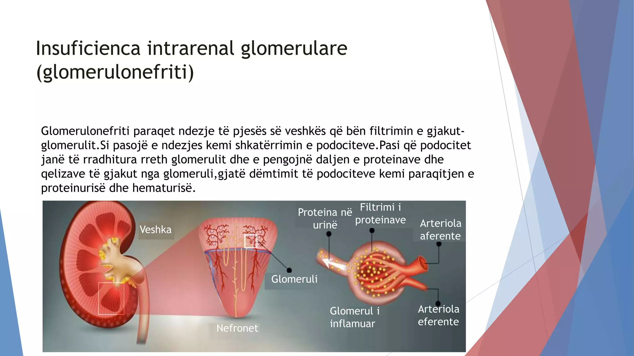 Insuficienca renale | PPTX