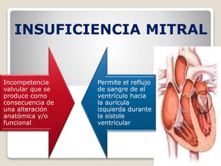INSUFICIENCIA MITRAL 
Incompetencia 
valvular que se 
produce como 
consecuencia de 
una alteración 
anatómica y/o 
funcional 
Permite el reflujo 
de sangre de el 
ventrículo hacia 
la aurícula 
izquierda durante 
la sístole 
ventricular 
 