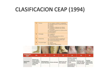 CLASIFICACION CEAP (1994)
 