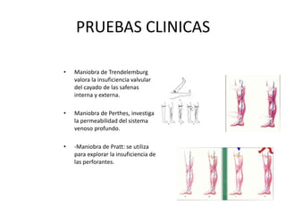 PRUEBAS CLINICAS
• Maniobra de Trendelemburg
valora la insuficiencia valvular
del cayado de las safenas
interna y externa.
• Maniobra de Perthes, investiga
la permeabilidad del sistema
venoso profundo.
• -Maniobra de Pratt: se utiliza
para explorar la insuficiencia de
las perforantes.
 
