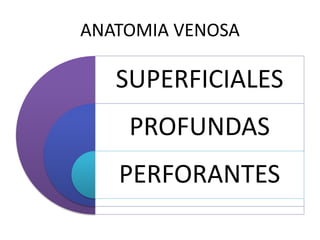 ANATOMIA VENOSA
SUPERFICIALES
PROFUNDAS
PERFORANTES
 