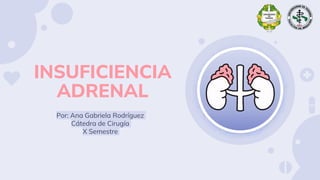 INSUFICIENCIA
ADRENAL
Por: Ana Gabriela Rodríguez
Cátedra de Cirugía
X Semestre
 