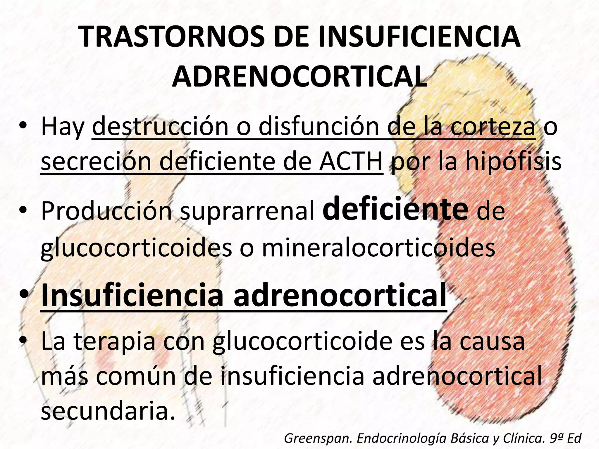 Insuficiencia adrenocortical | PPTX