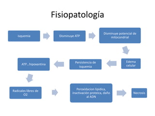 Fisiopatología 