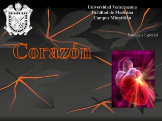 Universidad Veracruzana
 Facultad de Medicina
  Campus Minatitlán


                  Patología Especial
 