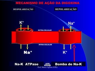 Na+
K+
DESPOLARIZAÇÃODESPOLARIZAÇÃO REPOLARIZAÇÃOREPOLARIZAÇÃO
EXTRA-CELULAR
INTRA-CELULAR
Na+
K+
ATP Bomba de Na-KNa-K ATPase
MECANISMO DE AÇÃO DA DIGOXINAMECANISMO DE AÇÃO DA DIGOXINA
Prof. Marco Aguiar (UPE)
 