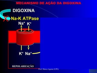 CONTRATILIDADE
MIOFILAMENTOS
(Actina-Miosina)
NaNa++
KK++
KK++
NaNa++
NaNa++
CaCa++++
CaCa++++
Na-K ATPaseNa-K ATPase Troca Na-CaTroca Na-Ca
DIGOXINADIGOXINA
REPOLARIZAÇÃOREPOLARIZAÇÃO
X
MECANISMO DE AÇÃO DA DIGOXINAMECANISMO DE AÇÃO DA DIGOXINA
Prof. Marco Aguiar (UPE)
 
