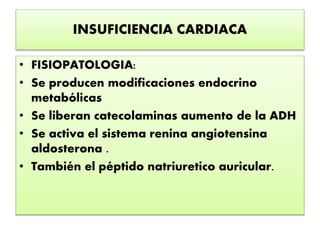 INSUFICIENCIA CARDIACA
• FISIOPATOLOGIA:
• Se producen modificaciones endocrino
metabólicas
• Se liberan catecolaminas aumento de la ADH
• Se activa el sistema renina angiotensina
aldosterona .
• También el péptido natriuretico auricular.
 