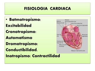 FISIOLOGIA CARDIACA
• Batmotropismo:
Excitabilidad
Cronotropismo:
Automatismo
Dromotropismo:
Conductibilidad.
Inotropismo: Contractilidad
 