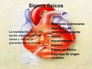 Signos físicos 
La exploración física nos 
ayuda a establecer una 
causa y valorar la 
gravedad del síndrome. 
• Estertores pulmonares 
• Hipertrofia de 
ventrículo izquierdo 
• Ascitis 
• Hepatomegalia 
• Ictericia 
• Edema periférico 
• Caquexia de origen 
cardíaco 
 