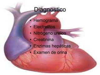 Diagnostico 
• Hemograma 
• Electrolitos 
• Nitrógeno ureico 
• Creatinina 
• Enzimas hepáticas 
• Examen de orina 
 