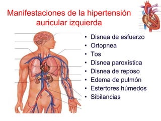 Manifestaciones de la hipertensión
auricular izquierda
•
•
•
•
•
•
•
•

Disnea de esfuerzo
Ortopnea
Tos
Disnea paroxística
Disnea de reposo
Edema de pulmón
Estertores húmedos
Sibilancias

 