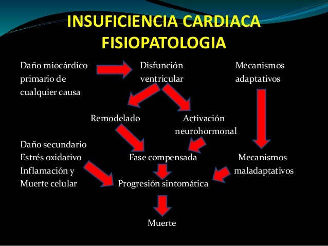 Insuficiencia Cardiaca 2015