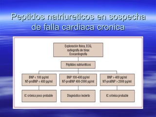 Peptidos natriureticos en sospechaPeptidos natriureticos en sospecha
de falla cardiaca cronicade falla cardiaca cronica
 